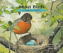 About Birds: A Guide for Children - Hardcover | Diverse Reads