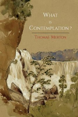 What Is Contemplation? - Paperback | Diverse Reads