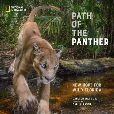 Path of the Panther: New Hope for Wild Florida - Hardcover | Diverse Reads
