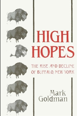High Hopes: The Rise and Decline of Buffalo, New York - Paperback | Diverse Reads