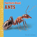 Fast Facts About Ants - Paperback | Diverse Reads