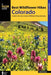 Best Wildflower Hikes Colorado: A Guide to the Area's Greatest Wildflower Hiking Adventures - Paperback | Diverse Reads