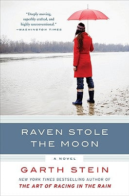 Raven Stole the Moon - Paperback | Diverse Reads