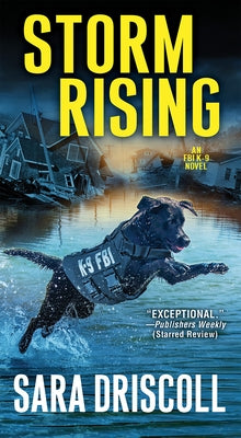 Storm Rising - Paperback | Diverse Reads