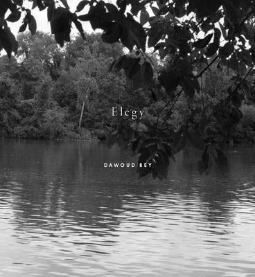 Dawoud Bey: Elegy - Hardcover | Diverse Reads