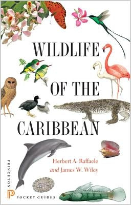 Wildlife of the Caribbean - Paperback | Diverse Reads