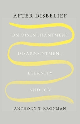 After Disbelief: On Disenchantment, Disappointment, Eternity, and Joy - Paperback | Diverse Reads
