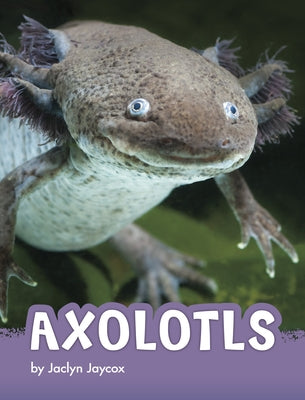Axolotls - Paperback | Diverse Reads