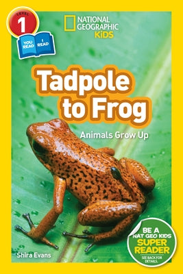 Tadpole to Frog (National Geographic Readers Series: Level 1/Co-reader) - Paperback | Diverse Reads