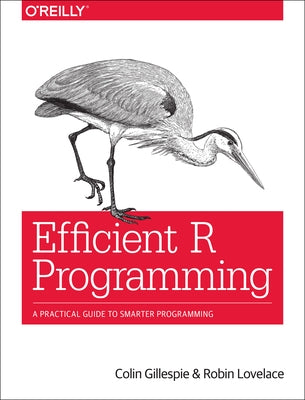 Efficient R Programming: A Practical Guide to Smarter Programming - Paperback | Diverse Reads