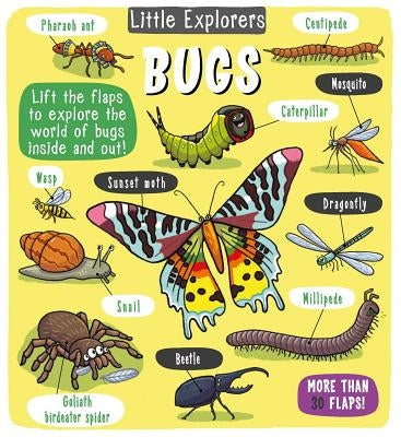 Bugs (Little Explorers Series) - Hardcover | Diverse Reads