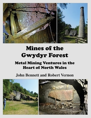 Mines of the Gwydyr Forest: Metal Mining Ventures in the Heart of North Wales - Paperback | Diverse Reads