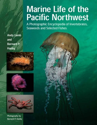 Marine Life of the Pacific Northwest: A Photographic Encyclopedia of Invertebrates, Seaweeds and Selected Fishes - Hardcover | Diverse Reads