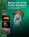 Marine Life of the Pacific Northwest: A Photographic Encyclopedia of Invertebrates, Seaweeds and Selected Fishes - Hardcover | Diverse Reads