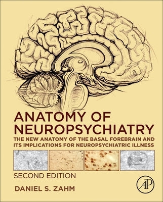Anatomy of Neuropsychiatry: The New Anatomy of the Basal Forebrain and Its Implications for Neuropsychiatric Illness - Hardcover | Diverse Reads