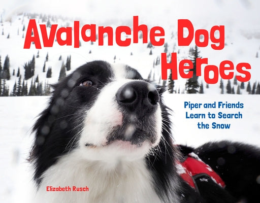 Avalanche Dog Heroes: Piper and Friends Learn to Search the Snow - Hardcover | Diverse Reads