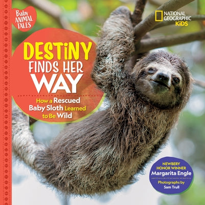 Destiny Finds Her Way: How a Rescued Baby Sloth Learned to Be Wild - Hardcover | Diverse Reads