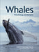 Whales: Their Biology and Behavior - Paperback | Diverse Reads