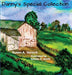 Danny's Special Collection - Hardcover | Diverse Reads