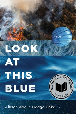 Look at This Blue - Paperback | Diverse Reads