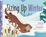 Sizing Up Winter (Math in Nature Series #3) - Paperback | Diverse Reads