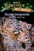 Snow Leopards and Other Wild Cats - Paperback | Diverse Reads