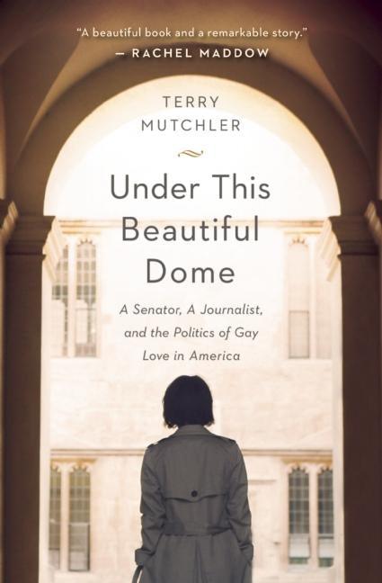 Under This Beautiful Dome: A Senator, A Journalist, and the Politics of Gay Love in America - Paperback | Diverse Reads