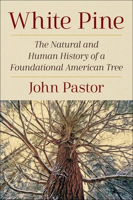White Pine: The Natural and Human History of a Foundational American Tree - Paperback | Diverse Reads
