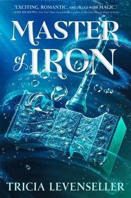 Master of Iron (Bladesmith #2) - Hardcover | Diverse Reads