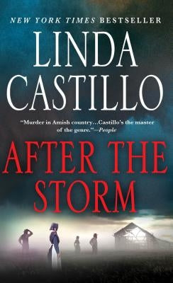 After the Storm (Kate Burkholder Series #7) - Paperback | Diverse Reads