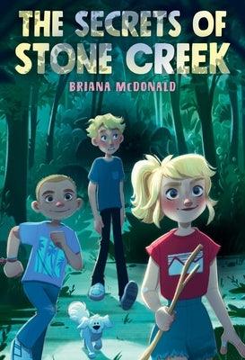 The Secrets of Stone Creek - Hardcover | Diverse Reads