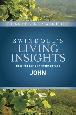 Insights on John - Hardcover | Diverse Reads