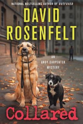 Collared (Andy Carpenter Series #16) - Paperback | Diverse Reads