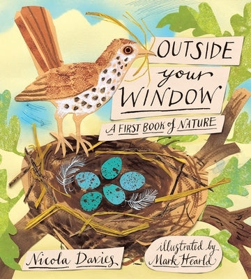 Outside Your Window: A First Book of Nature - Hardcover | Diverse Reads