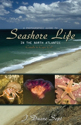 A Photographic Guide to Seashore Life in the North Atlantic: Canada to Cape Cod - Paperback | Diverse Reads