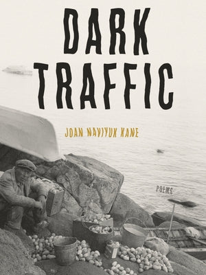 Dark Traffic: Poems - Paperback | Diverse Reads