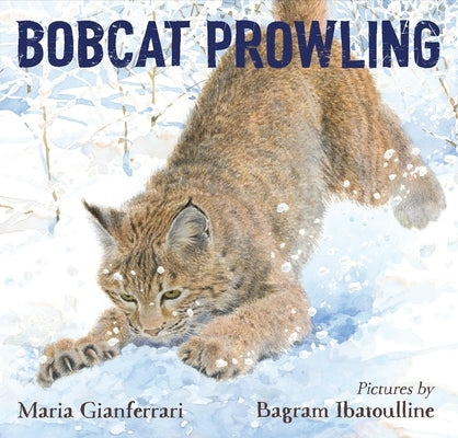 Bobcat Prowling - Hardcover | Diverse Reads