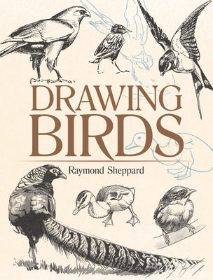 Drawing Birds - Paperback | Diverse Reads