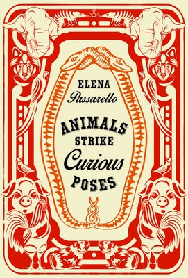 Animals Strike Curious Poses - Paperback | Diverse Reads