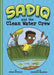 Sadiq and the Clean Water Crew - Hardcover |  Diverse Reads