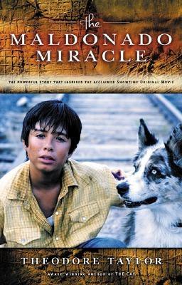 The Maldonado Miracle - Paperback | Diverse Reads
