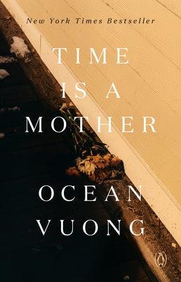 Time Is a Mother - Paperback | Diverse Reads