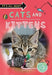 It's All About... Cats and Kittens - Paperback | Diverse Reads