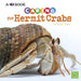 Caring for Hermit Crabs: A 4D Book - Hardcover | Diverse Reads