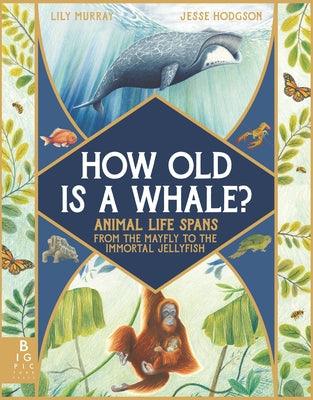 How Old Is a Whale?: Animal Life Spans from the Mayfly to the Immortal Jellyfish - Hardcover | Diverse Reads