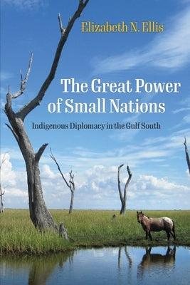 The Great Power of Small Nations: Indigenous Diplomacy in the Gulf South - Hardcover