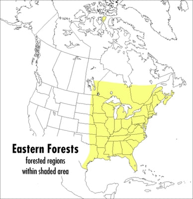 A Peterson Field Guide To Eastern Forests: North America - Paperback | Diverse Reads