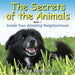 The Secrets of the Animals: Inside Your Amazing Neighborhood - Paperback | Diverse Reads