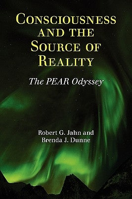 Consciousness and the Source of Reality - Paperback | Diverse Reads