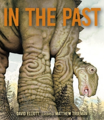 In the Past: From Trilobites to Dinosaurs to Mammoths in More Than 500 Million Years - Hardcover | Diverse Reads